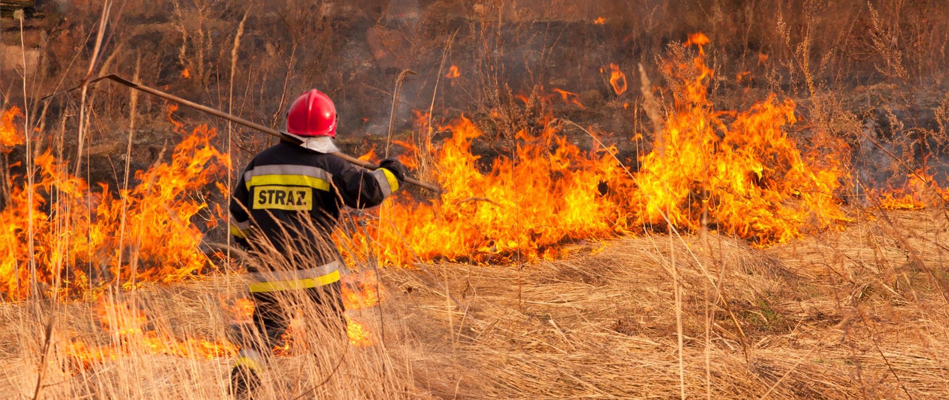 Zdjęcie strażaka gaszącego pożar łąki